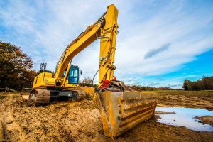 Excavator Services in Pink Lily, QLD